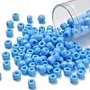 TOHO 3/0 Round Beads SEED-XTR03-0043-1