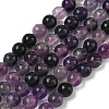 Natural Purple Fluorite Beads Strands G-P530-B08-01-3