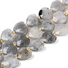 Natural Labradorite Beads Strands G-P592-B14-01-2