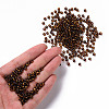 8/0 Glass Seed Beads X-SEED-A005-3mm-53-4
