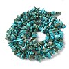 Natural Turquoise Chip Beads Strands X-G-D093-A01-3