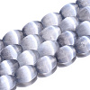 Dyed Natural Selenite Beads Strands G-T138-232B-1