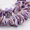 Natural Shell Bead Strands BSHE-P010-01-3