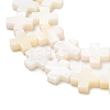 Natural Freshwater Shell Beads Strands SHEL-F007-02-3