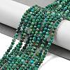 Natural Chrysocolla Beads Strands X-G-P514-A03-02-01-2