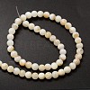 Natural Freshwater Shell Round Bead Strands SHEL-M013-01-2