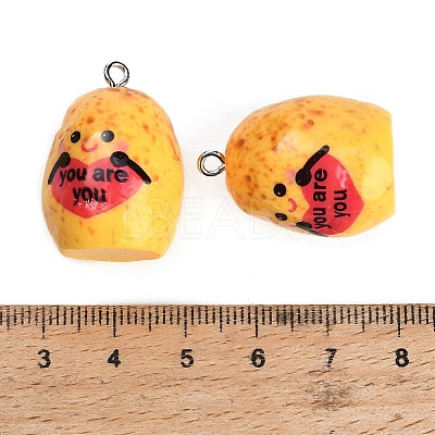 Opaque Resin with Alloy Pendants RE-CBA08CD-07B-1