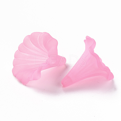 Transparent Acrylic Beads BSF796-C10-1