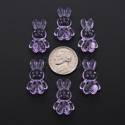 Transparent Acrylic Beads LS-MACR-S373-81-B05-1