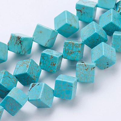 Natural Magnesite Beads Strands TURQ-K003-20B-1