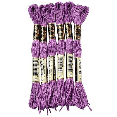 6Bundles Polyester Embroidery Floss OCOR-YW0001-25F-1