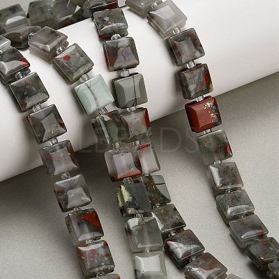 Natural African Bloodstone Beads Strands GG-F802-B17-01-1