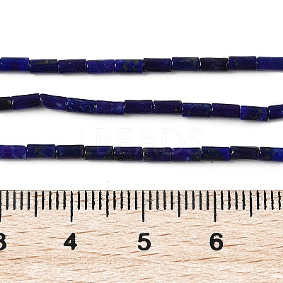 Natural Lapis Lazuli Beads Strands G-U013-A01-01-1