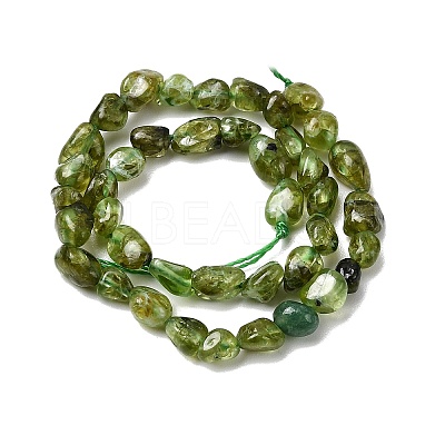 Natural Peridot Beads Strands G-P601-A01-01-1