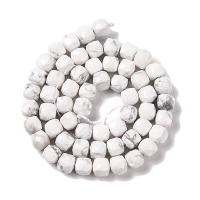 Natural Howlite Beads Strands G-G001-B03-06-1