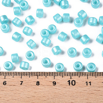Baking Paint Pearlized Glass Seed Beads SEED-T008-03Q-1