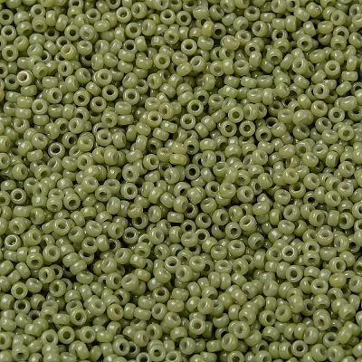 MIYUKI Round Rocailles Beads X-SEED-G009-RR4474-1