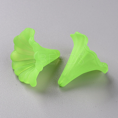 Transparent Acrylic Beads BSF796-C18-1