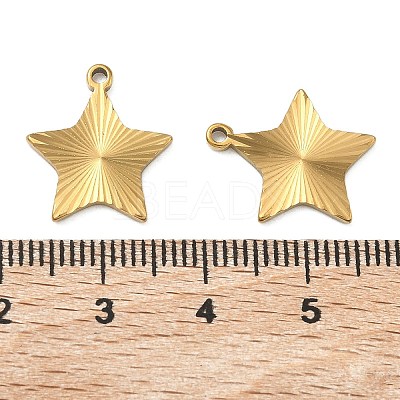 304 Stainless Steel Pendants STAS-C167-08G-G-1