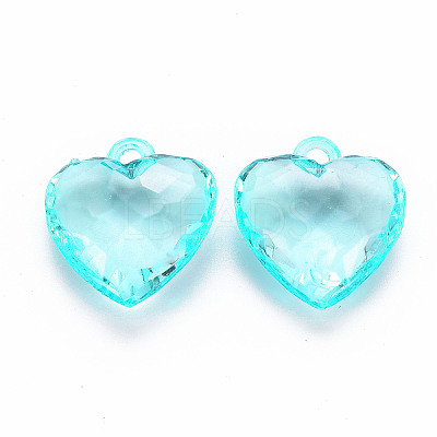 Transparent Acrylic Pendants LS-TACR-T024-03B-946-1