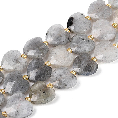 Natural Labradorite Beads Strands G-P592-B14-01-1