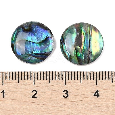 Natural Paua Shell Cabochons SSHEL-I026-20B-1