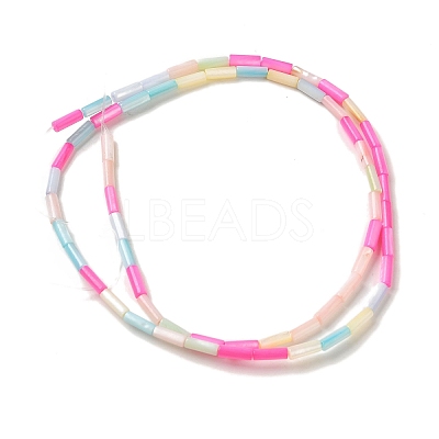 Rainbow Color Dyed Natural Freshwater Shell Beads Strands SHEL-G018-02A-1