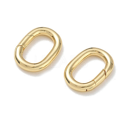 Brass Spring Gate Clasps KK-CBA50B0-29G-1