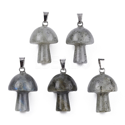 Natural Labradorite Pendants G-N0325-10O-1