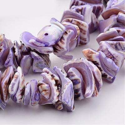 Natural Shell Bead Strands BSHE-P010-01-1