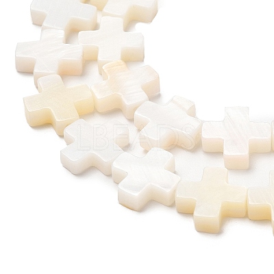 Natural Freshwater Shell Beads Strands SHEL-F007-02-1