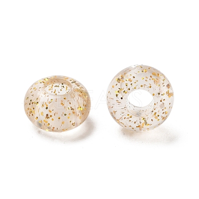Transparent Acrylic European Beads TACR-P009-A01-03-1
