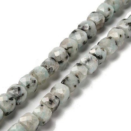 Natural Sesame Jasper Beads Strands G-H078-C24-01-1