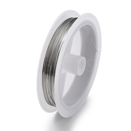 Non-Tarnish 10 Rolls 304 Stainless Steel Wire TWIR-H001-01F-P-1