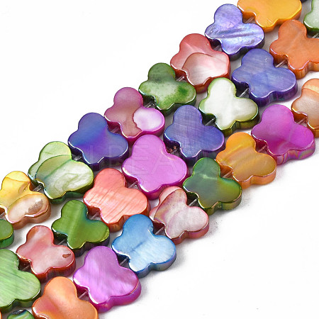 Dyed Natural Freshwater Shell Beads Strands SHEL-S276-167-1