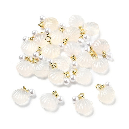 Natural Agate Shell Shaped Pendants G-U025-06G-1