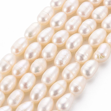 Natural Cultured Freshwater Pearl Beads Strands X-PEAR-S012-41D-1
