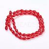Glass Beads Strands GLAA-R024-15x10mm-M-2