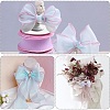Organza Ribbons PW-WGF6B47-06-5