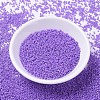 MIYUKI Delica Beads SEED-X0054-DB1379-2