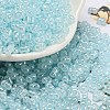 Ceylon Glass Seed Beads SEED-K009-02B-33-1