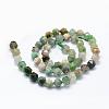 Natural Chrysoprase Beads Strands G-F523-34-6mm-2
