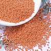 MIYUKI Round Rocailles Beads X-SEED-G007-RR0424-1
