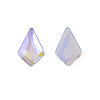 Glass Rhinestone Cabochons MRMJ-N027-041B-4