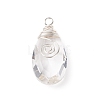 Wire Wrapped Transparent Glass Pendants PALLOY-JF01828-1