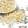 Baking Paint Glass Seed Beads SEED-F006-01A-01-1