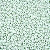 Baking Paint Pearlized Glass Seed Beads SEED-T008-03P-3