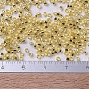 MIYUKI Delica Beads SEED-MY11-DB0042-4