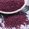 MIYUKI Delica Beads X-SEED-J020-DB2355-1