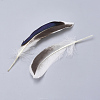 Feather Costume Accessories X-FIND-Q046-15F-3